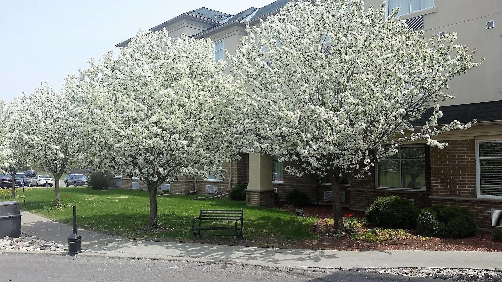 Hotel Days By Wyndham Airport